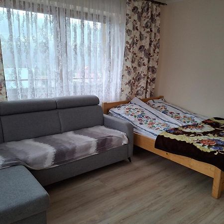 Apartamenty U Gabi Poronin Exteriör bild